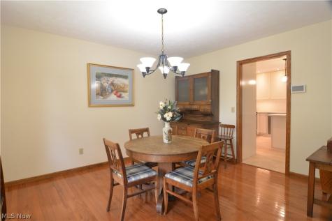946 Ptarmigan Trail Brunswick OH 44212