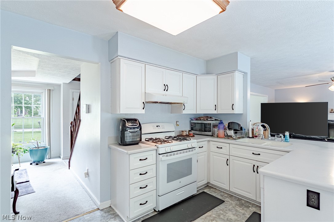1347 Sharonbrook Drive Twinsburg OH 44087