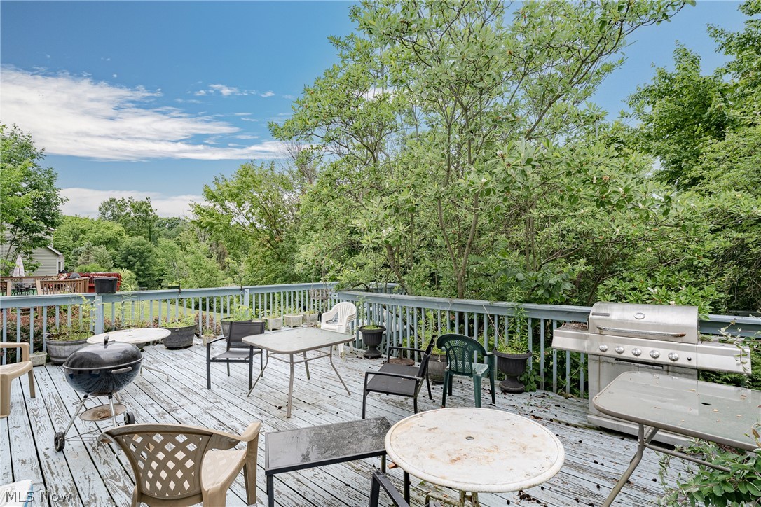 1347 Sharonbrook Drive Twinsburg OH 44087