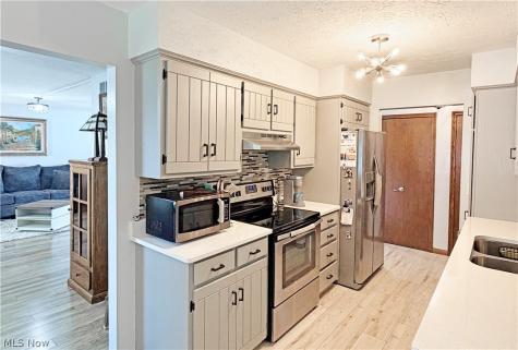 1043 Reedy Drive Wadsworth OH 44281