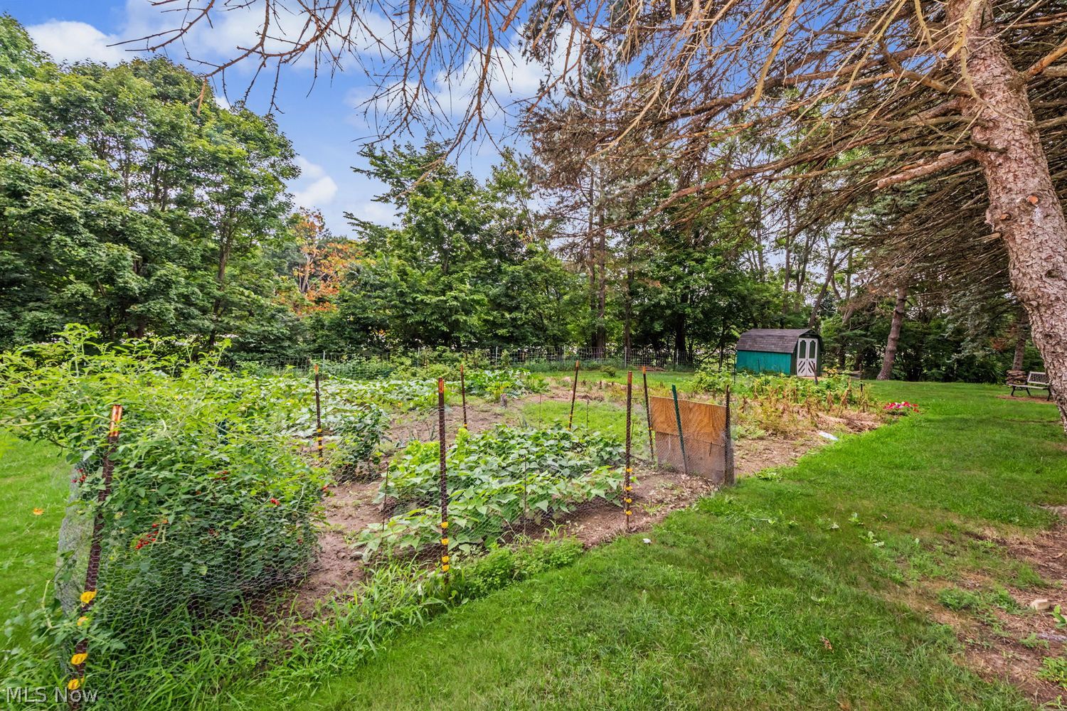 696 West Street Wadsworth OH 44281