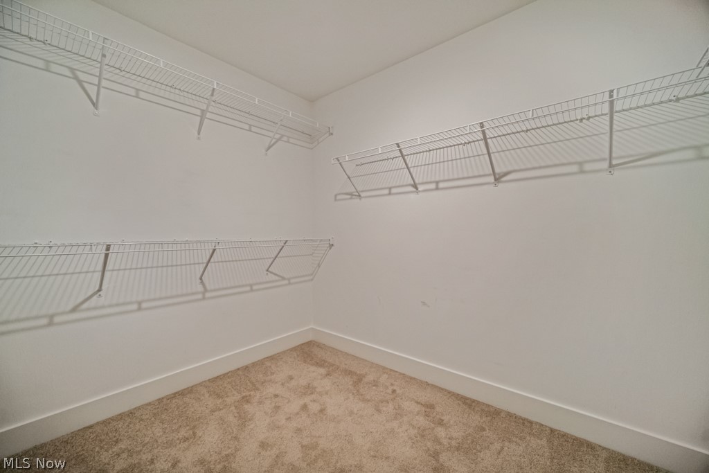 8809 Leatherleaf Drive Columbia Station OH 44028