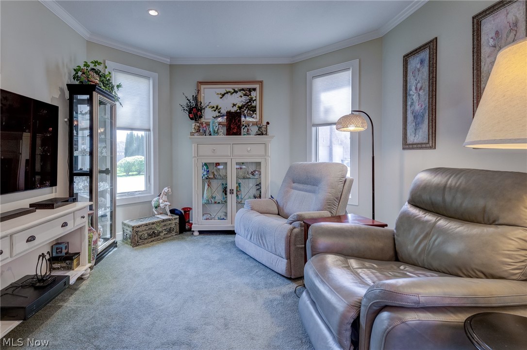 3836 Heron Watch Drive Akron OH 44319