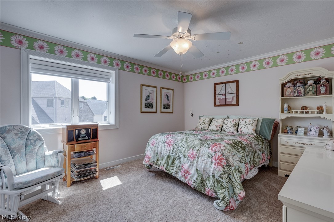 3836 Heron Watch Drive Akron OH 44319