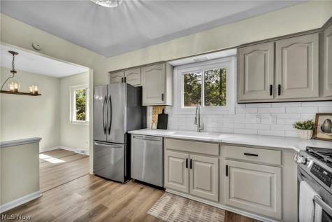 24397 Noreen Drive North Olmsted OH 44070