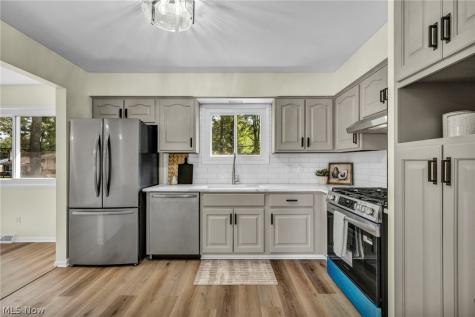 24397 Noreen Drive North Olmsted OH 44070