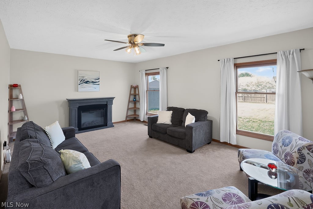 125 Queen Anne Circle Elyria OH 44035