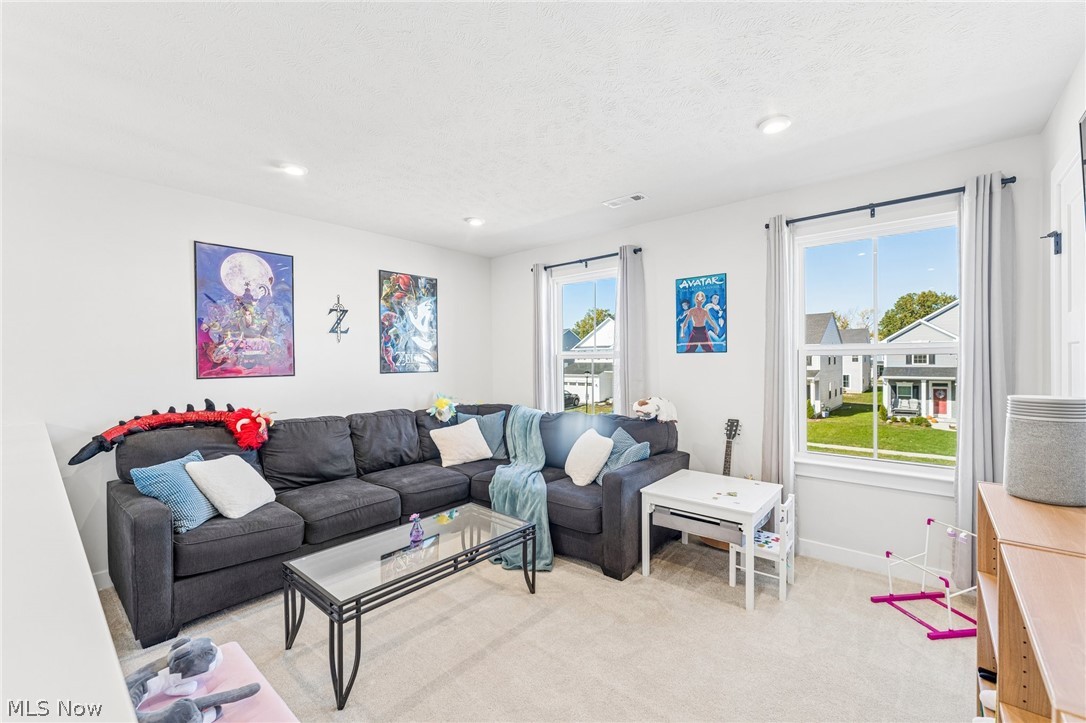 6175 Krystina Run Lorain OH 44053