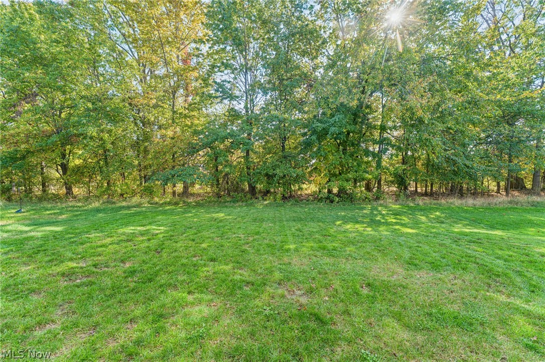 6175 Krystina Run Lorain OH 44053