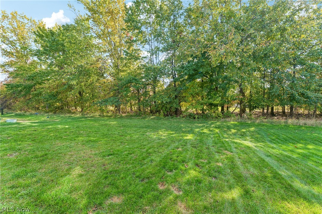6175 Krystina Run Lorain OH 44053