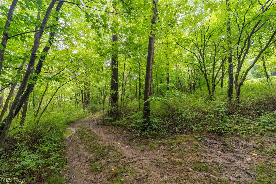 17881 Horseshoe Bend Road E Newcomerstown OH 43832
