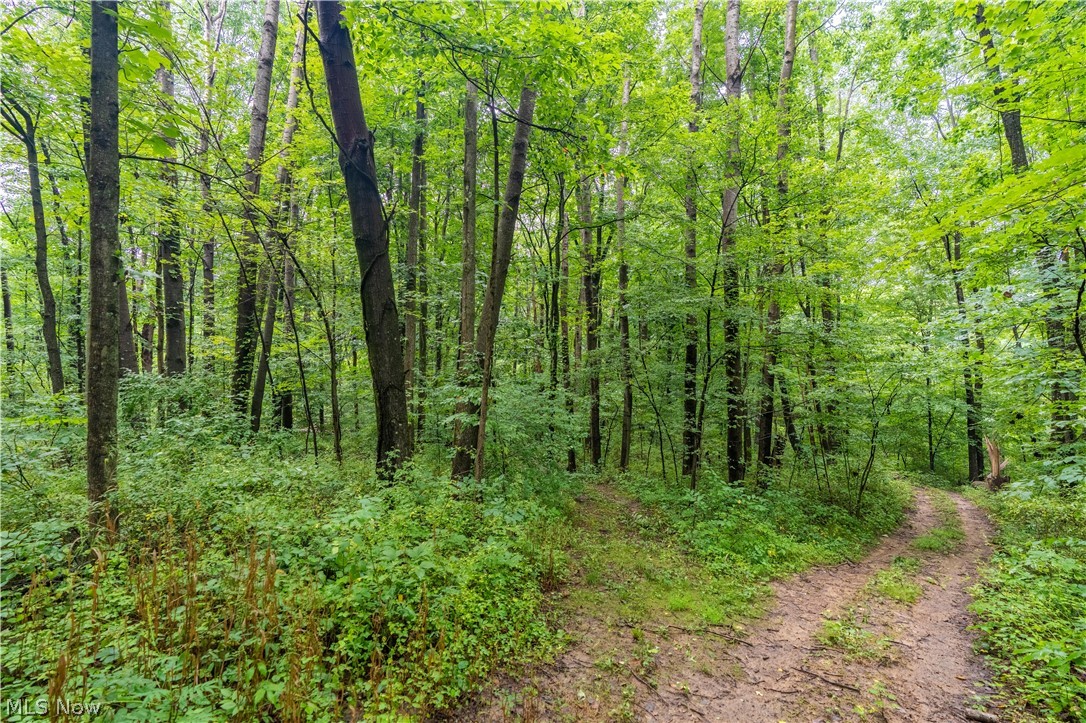 17881 Horseshoe Bend Road E Newcomerstown OH 43832