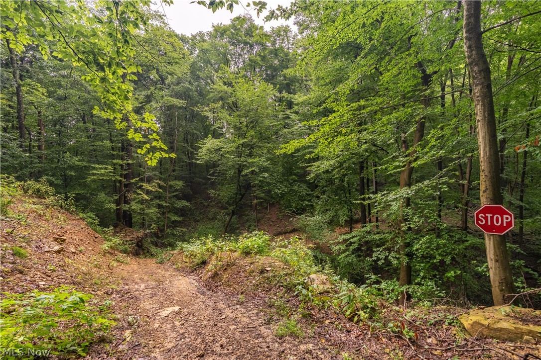 17881 Horseshoe Bend Road E Newcomerstown OH 43832