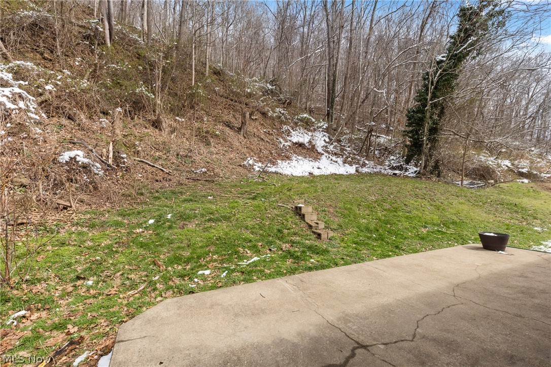52736 Fisher Hill Road Clarington OH 43915