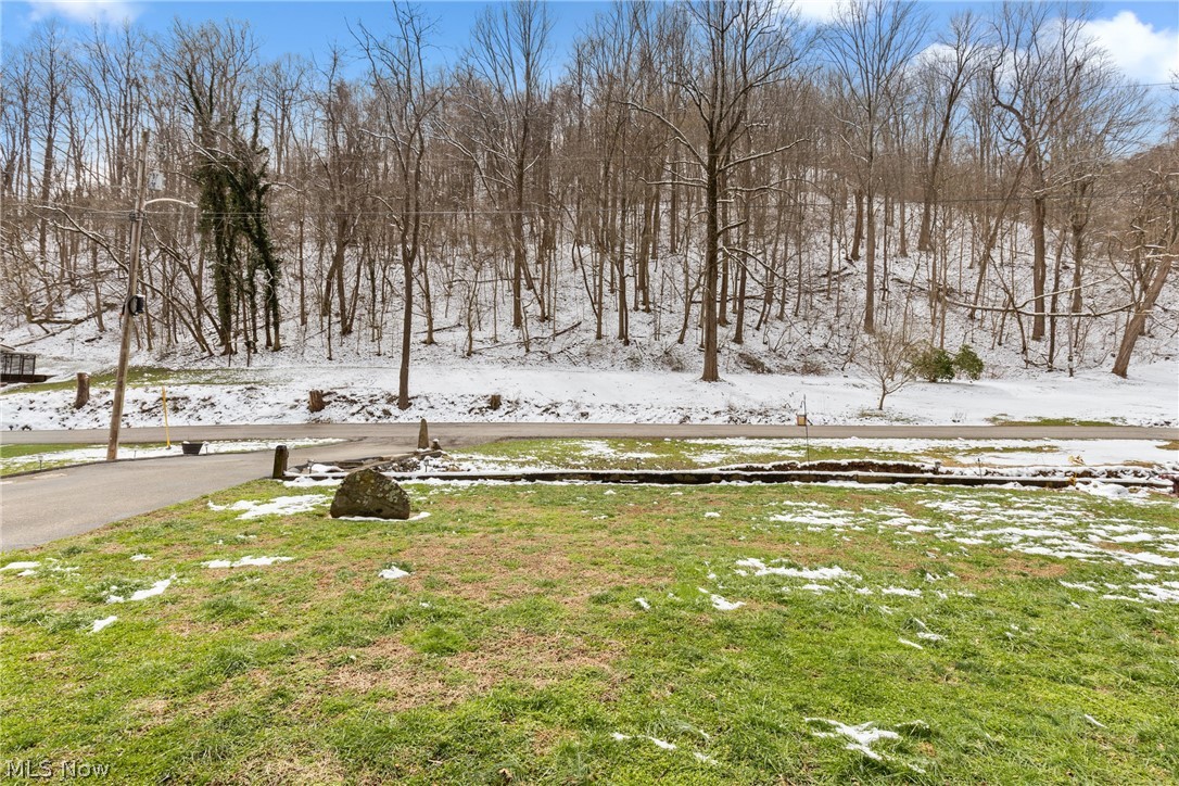 52736 Fisher Hill Road Clarington OH 43915