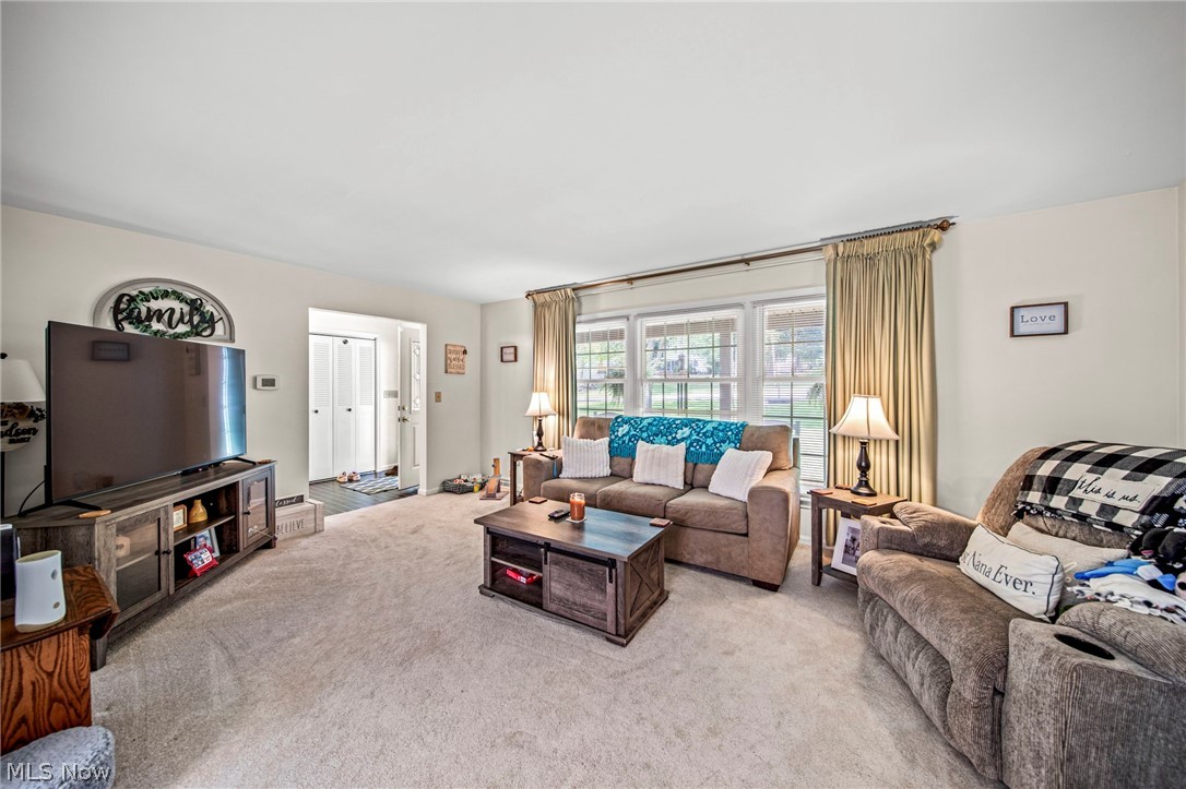 4234 Caylor Court Ashtabula OH 44004
