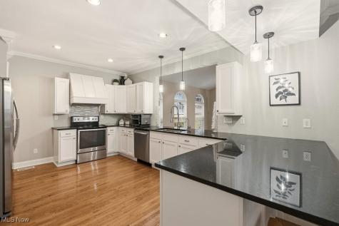 305 Mentor Avenue Painesville OH 44077