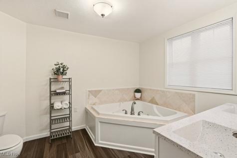305 Mentor Avenue Painesville OH 44077