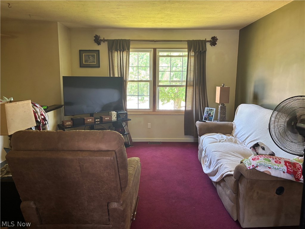 1866 Annalane Drive Streetsboro OH 44241