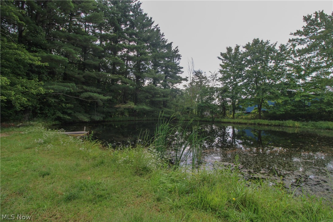 4428 State Route 7 Burghill OH 44404