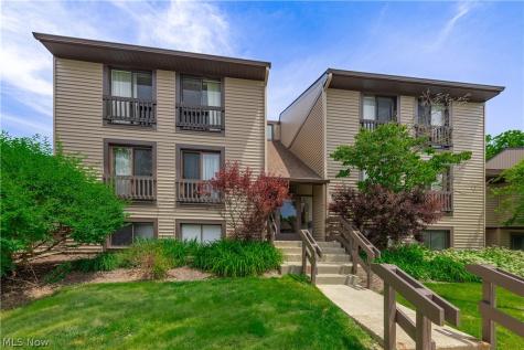 1115 Canyon View Road Sagamore Hills OH 44067