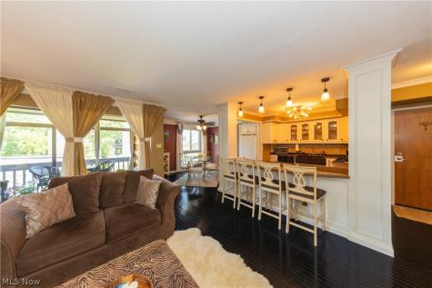 1115 Canyon View Road Sagamore Hills OH 44067