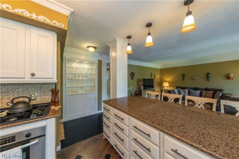 1115 Canyon View Road Sagamore Hills OH 44067