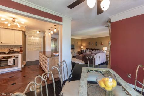 1115 Canyon View Road Sagamore Hills OH 44067