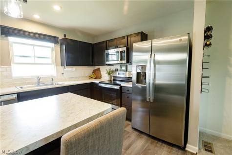 1411 Elizabeth Boulevard Painesville OH 44077