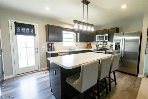1411 Elizabeth Boulevard Painesville OH 44077