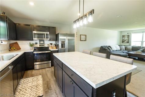 1411 Elizabeth Boulevard Painesville OH 44077