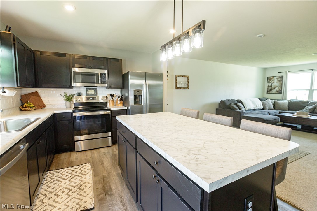 1411 Elizabeth Boulevard Painesville OH 44077