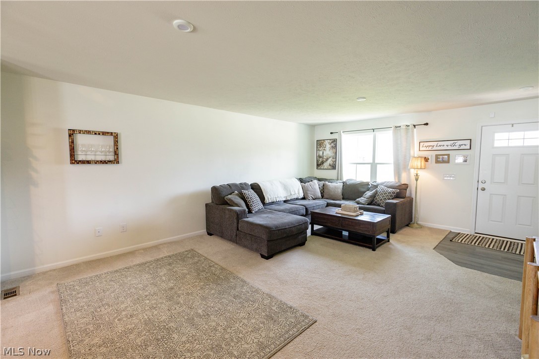1411 Elizabeth Boulevard Painesville OH 44077