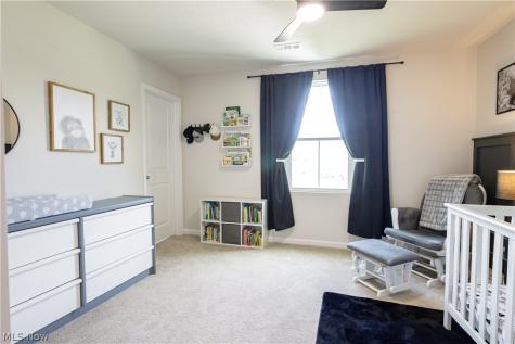 1411 Elizabeth Boulevard Painesville OH 44077