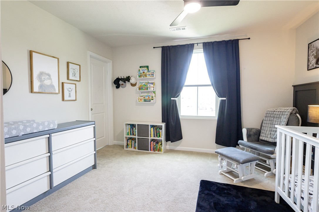 1411 Elizabeth Boulevard Painesville OH 44077