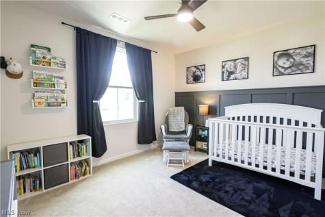 1411 Elizabeth Boulevard Painesville OH 44077