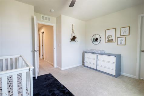 1411 Elizabeth Boulevard Painesville OH 44077