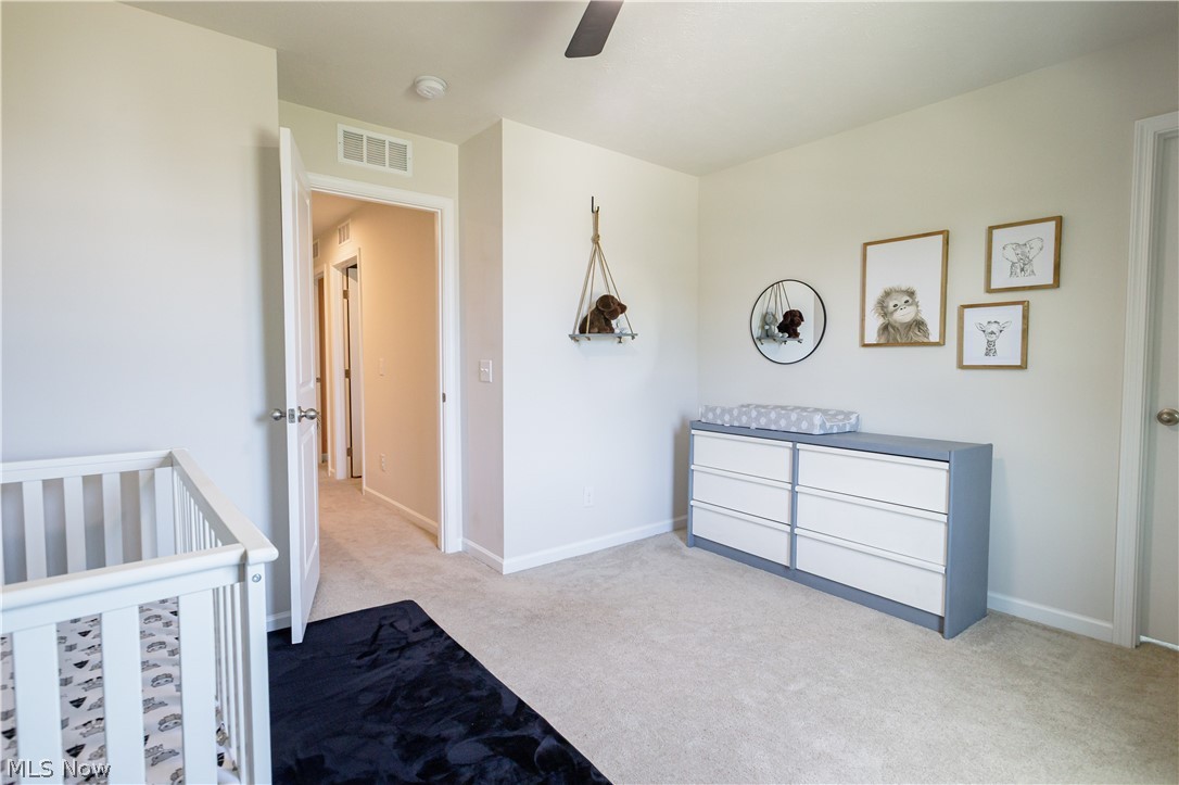 1411 Elizabeth Boulevard Painesville OH 44077