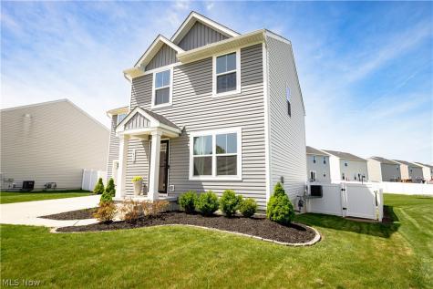 1411 Elizabeth Boulevard Painesville OH 44077