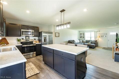 1411 Elizabeth Boulevard Painesville OH 44077
