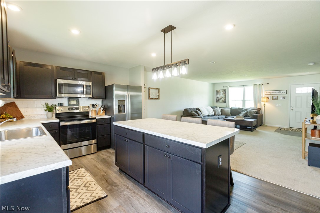 1411 Elizabeth Boulevard Painesville OH 44077