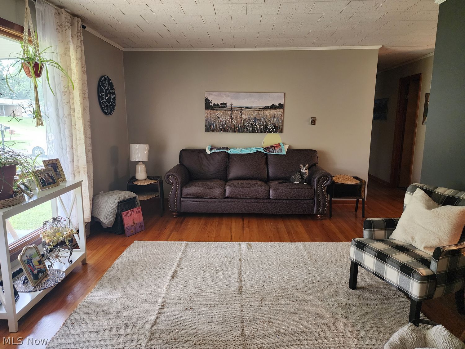 217 Liming Drive Cadiz OH 43907