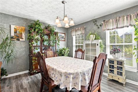 7597 Meadow Brooke Way Northfield OH 44067