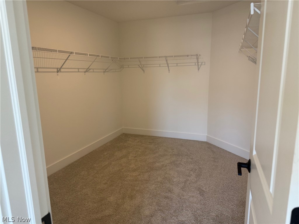 32610 Trillium Court Avon Lake OH 44012
