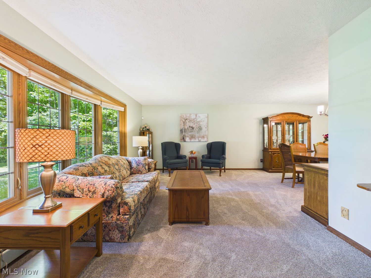 12259 E Shiloh Drive Chesterland OH 44026