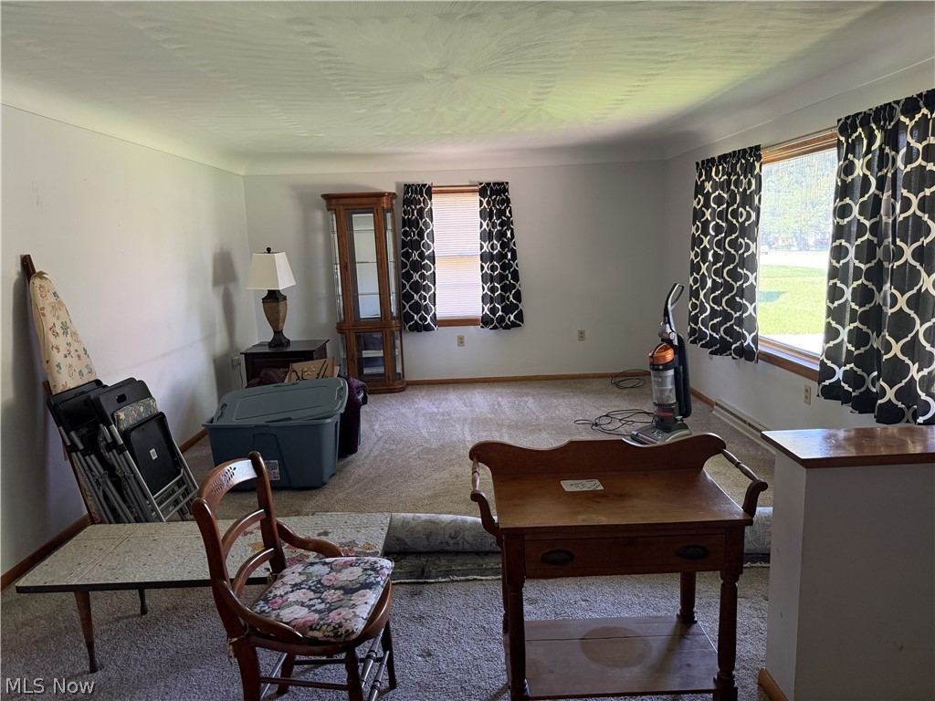 203 W Main Road Conneaut OH 44030