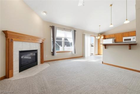 320 Falling Leaf Drive Seven Hills OH 44131