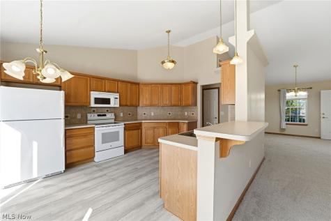 320 Falling Leaf Drive Seven Hills OH 44131