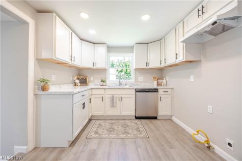 7325 Adkins Road Mentor OH 44060
