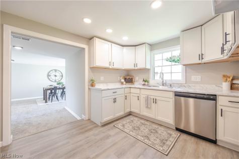 7325 Adkins Road Mentor OH 44060